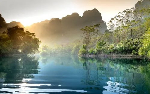 绿色精密